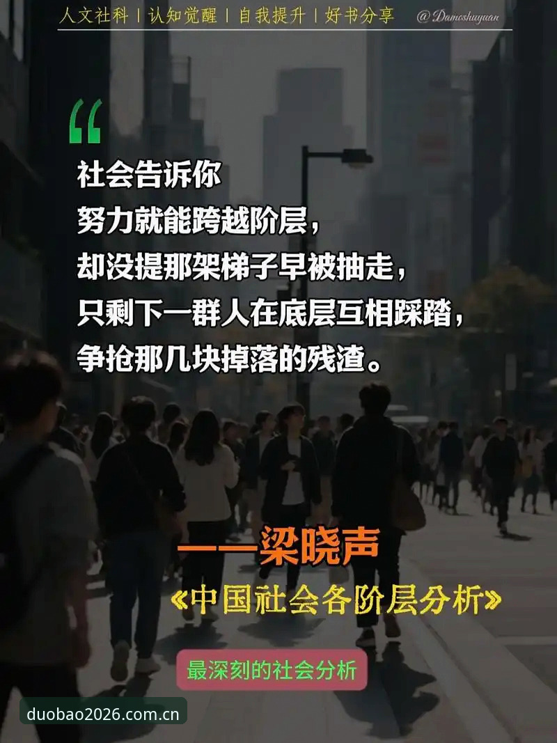 深度揭秘：多宝体育用户评价背后的真实体验与平台进化真相